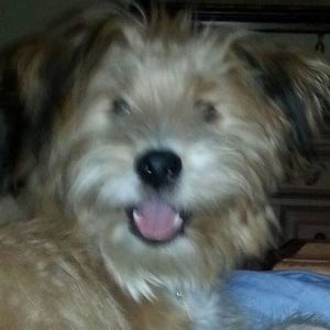 Meet your Posher, Betty